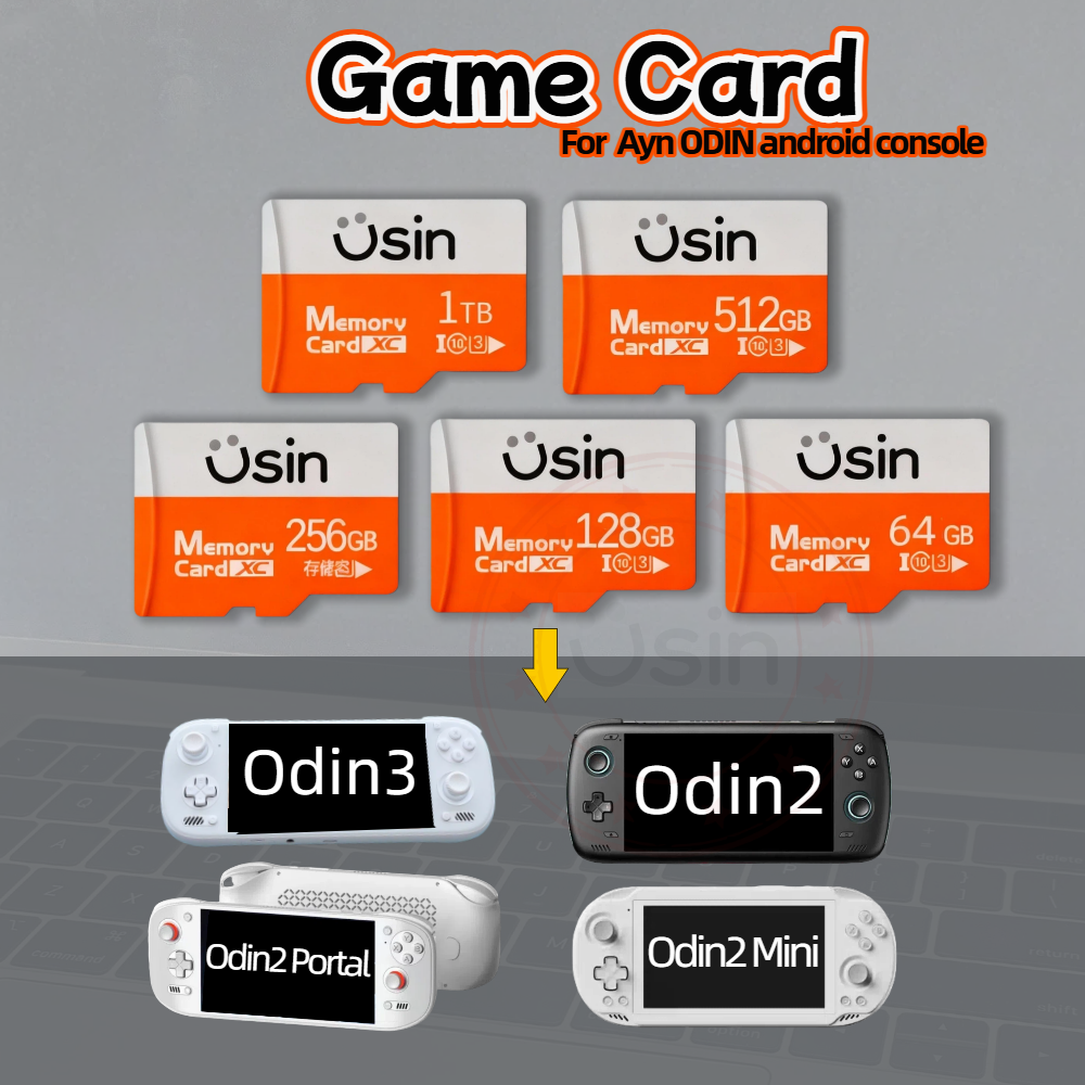 Retro X8 Gaming Console - Scheda SD per Giochi Ayn ODIN3